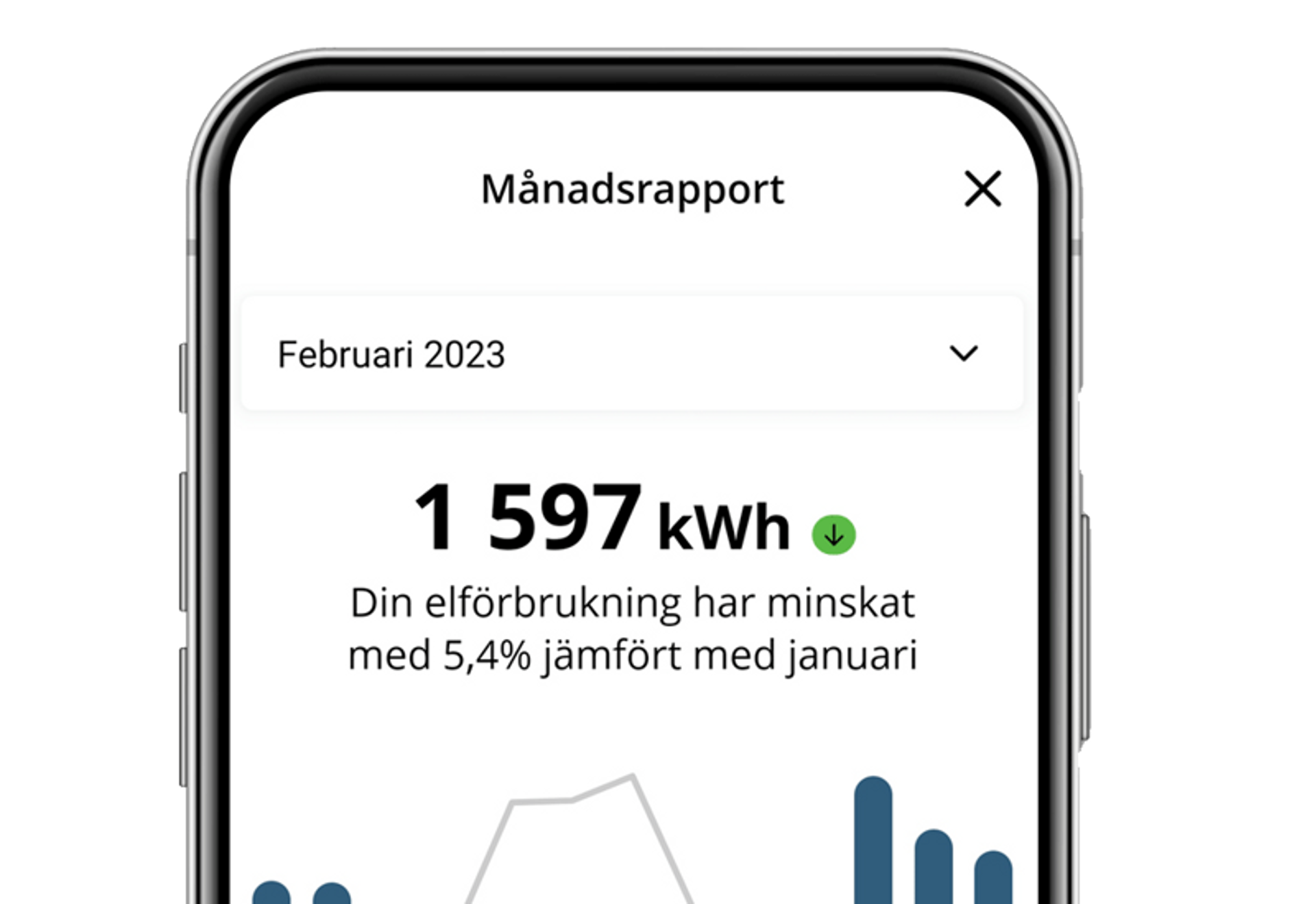 Månadsrapport