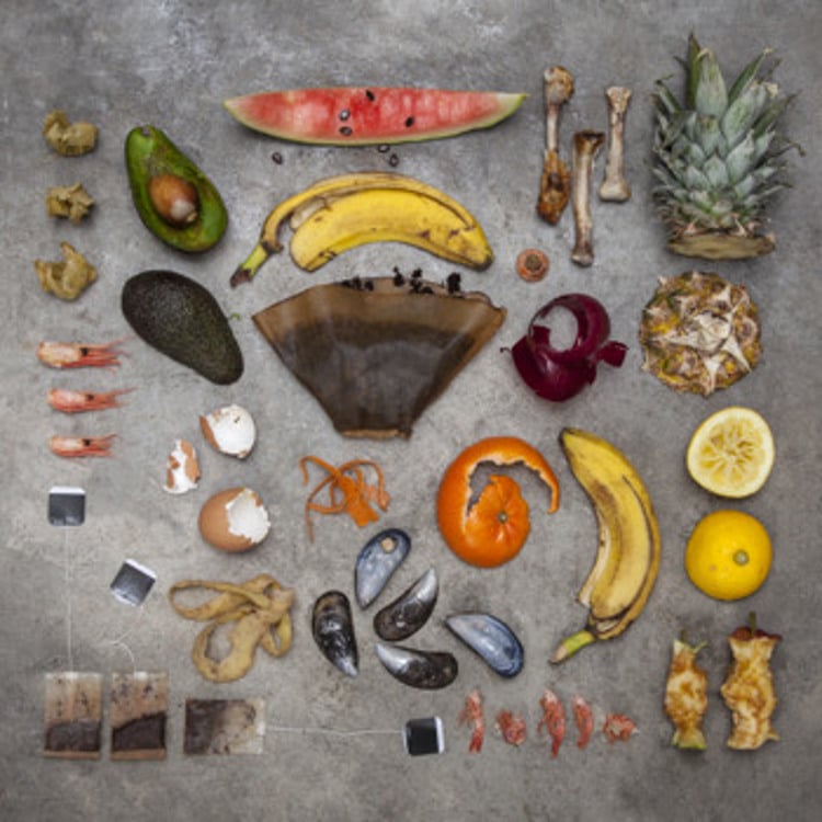 Bild på matavfall, banan, tepåse, melon, musslor, räkskal, citron, melon, matrester, rödlök
